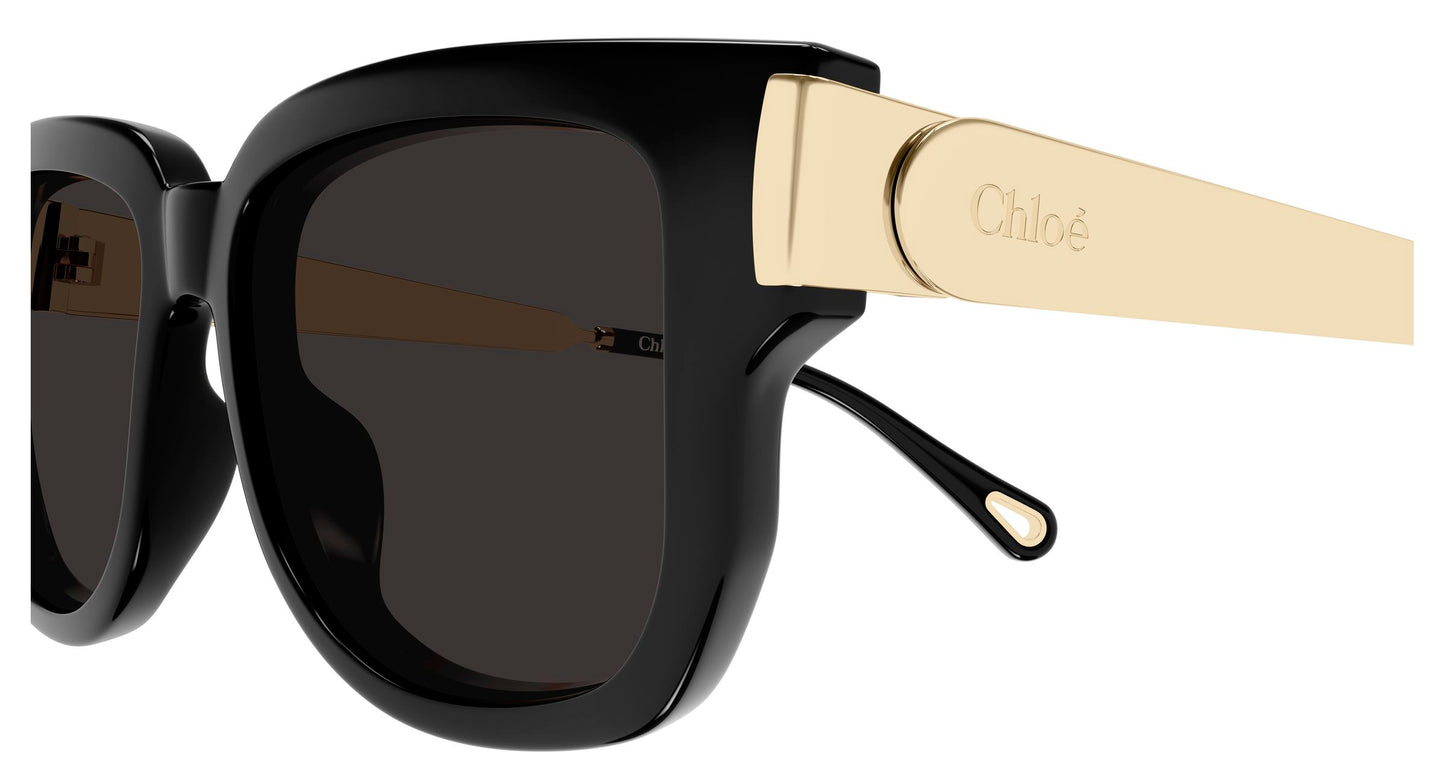 Occhiale da Sole Chloè CH0351S PROMO
