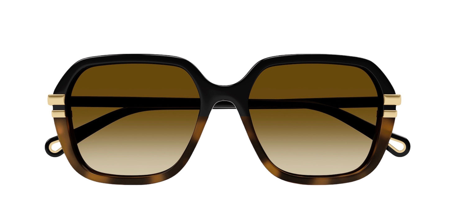 Occhiale da Sole Chloè CH0204S PROMO