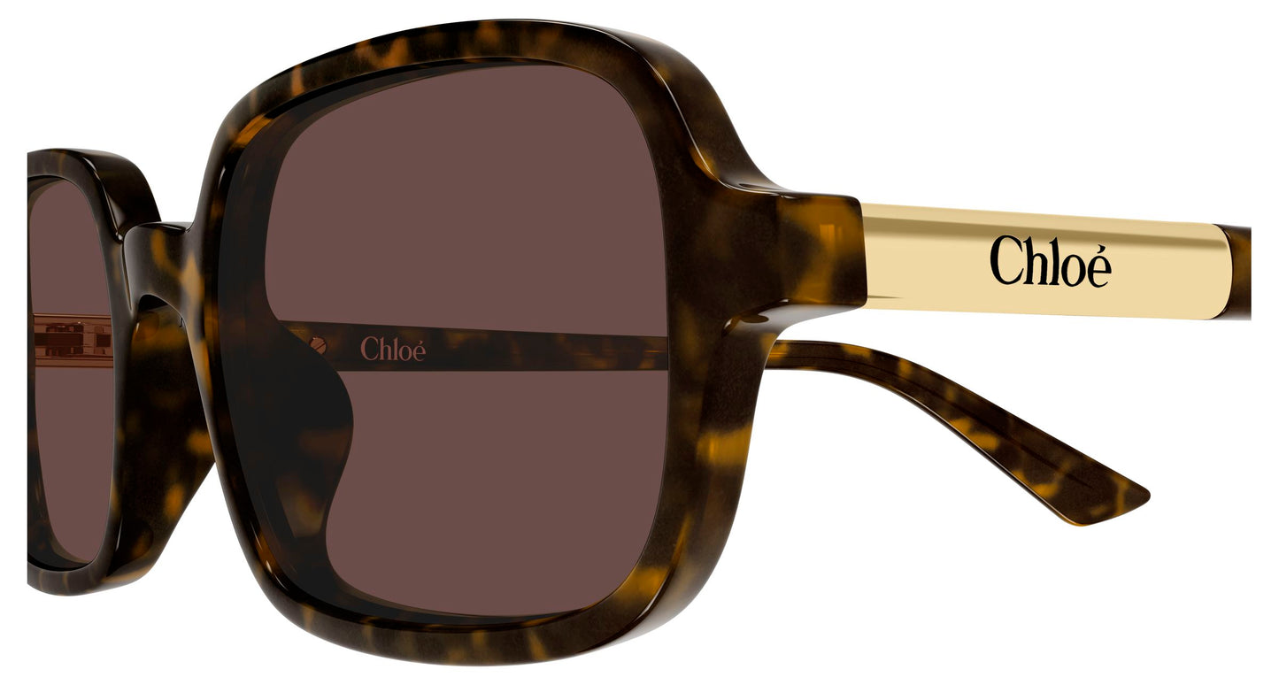 Occhiale da Sole Chloè CH0363S PROMO